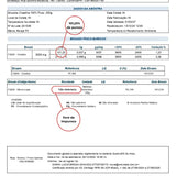 Creatina Monohidratada 100% Pura - 150 Cápsulas